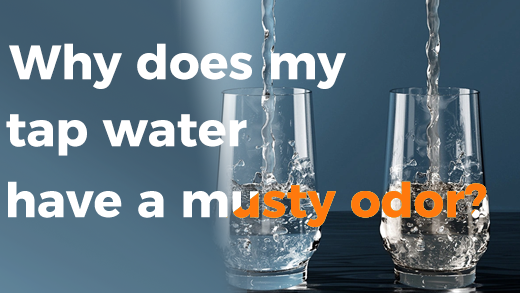 Why does my tap water have a musty odor?