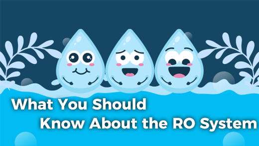 What You Should Know About the RO System